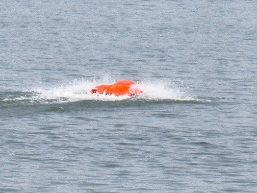 IMG_20260628_162604