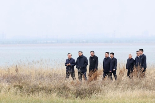图片4