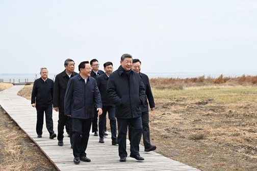图片5