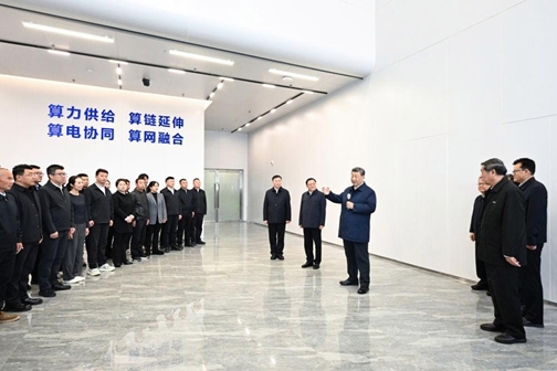 图片6