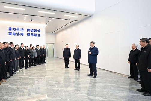 图片8