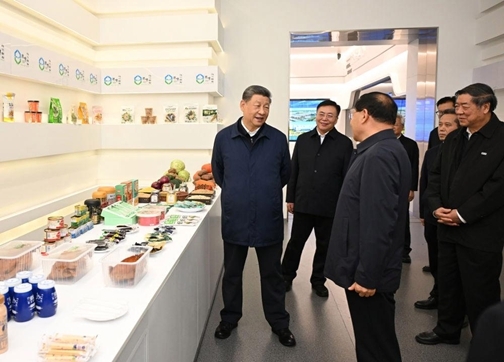 图片9